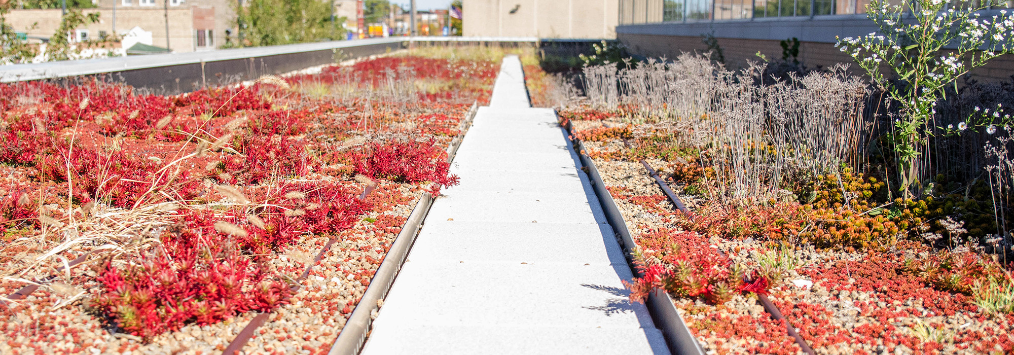 Installation Imperméabilisation