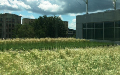 CHU Sainte-Justine Growing up healthy